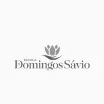 Domingos Sávio